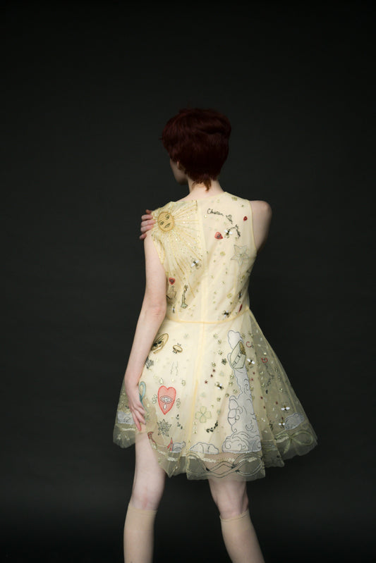 christian dior ss 17 'la roue de la fortune' dress