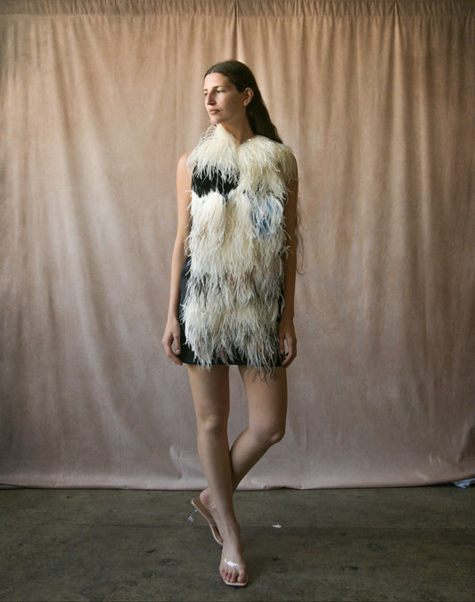 celine by phoebe philo pre-fall 2010 ostrich feather mini dress
