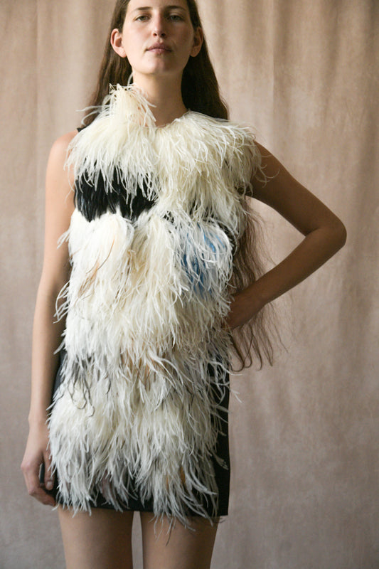 celine by phoebe philo pre-fall 2010 ostrich feather mini dress