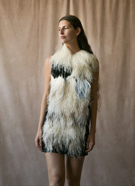 celine by phoebe philo pre-fall 2010 ostrich feather mini dress